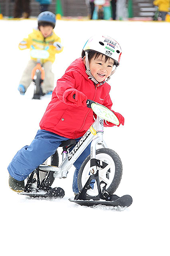 スノーストライダー