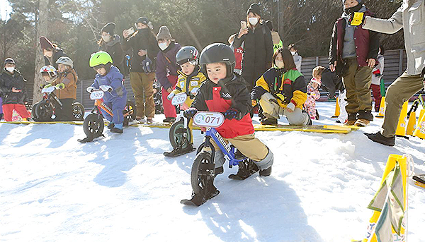 ストライダープレミスドームカップ