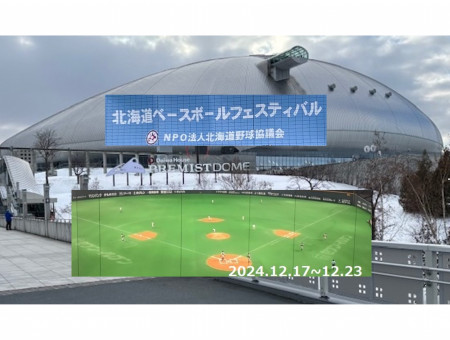 北海道ベースボールフェスティバル