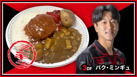 ヤンニョムハンバーグカレー