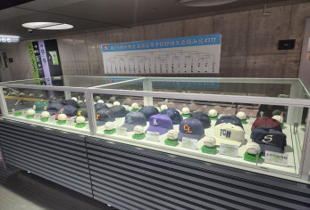 2026高校野球展